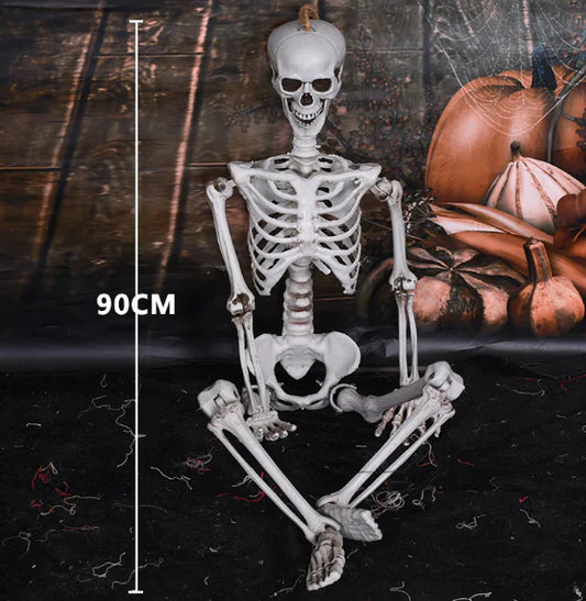 Realistic Skeleton Model