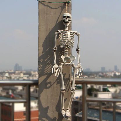 Realistic Skeleton Model