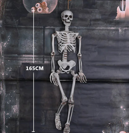 Realistic Skeleton Model